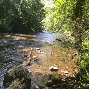 Meet your Posher, Michaela